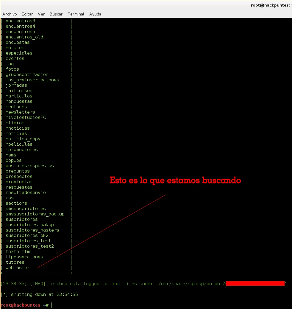 Ataques SQL injection contra Bases de Datos mediante SQLmap
